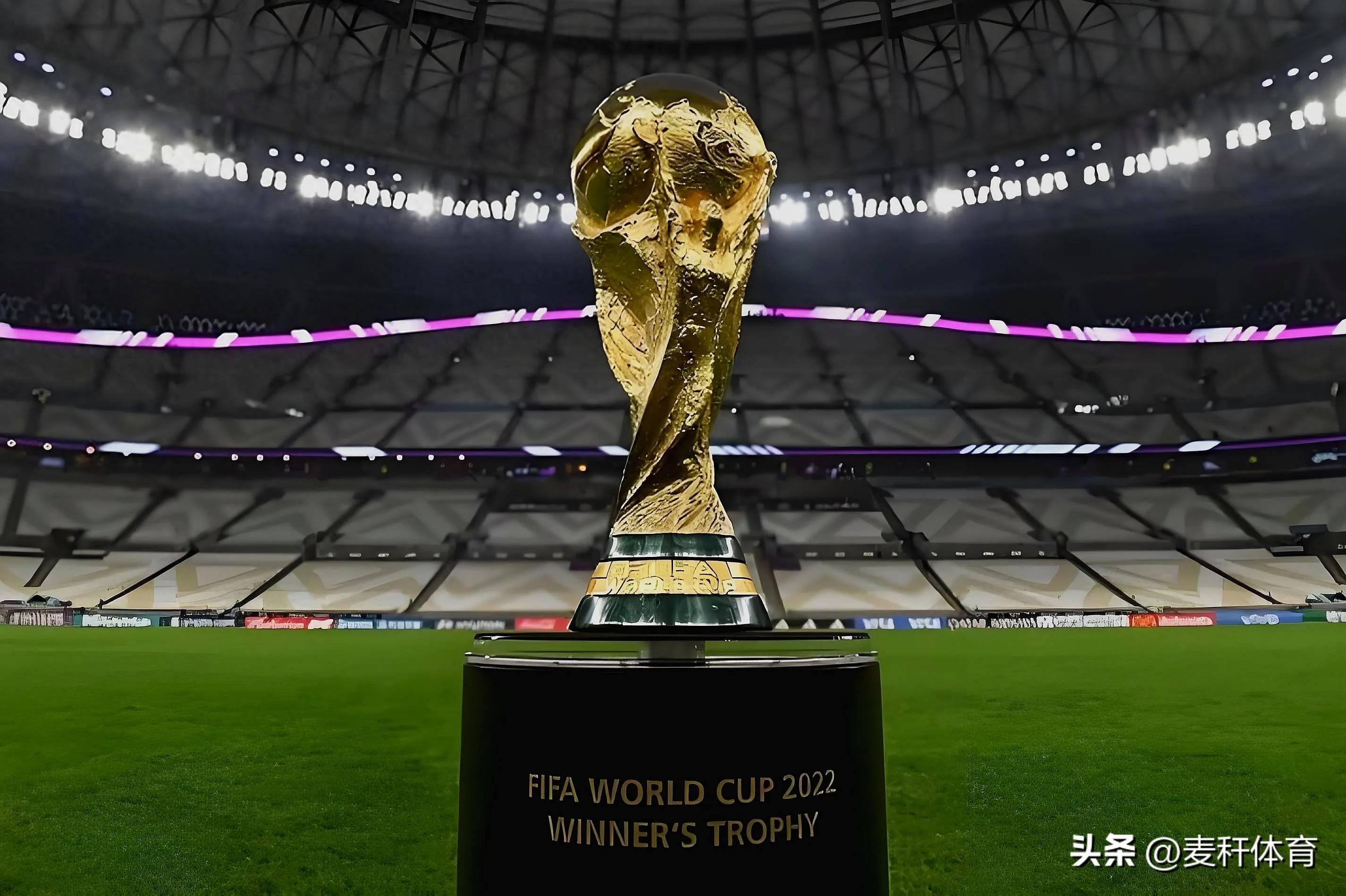 稳定性或受 稳定性或受