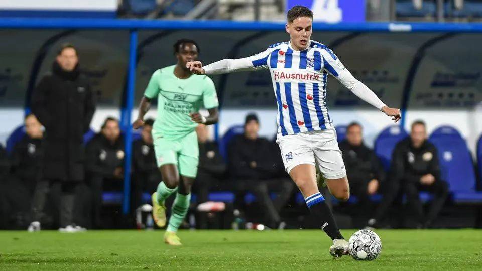 手的翘楚 手的翘楚