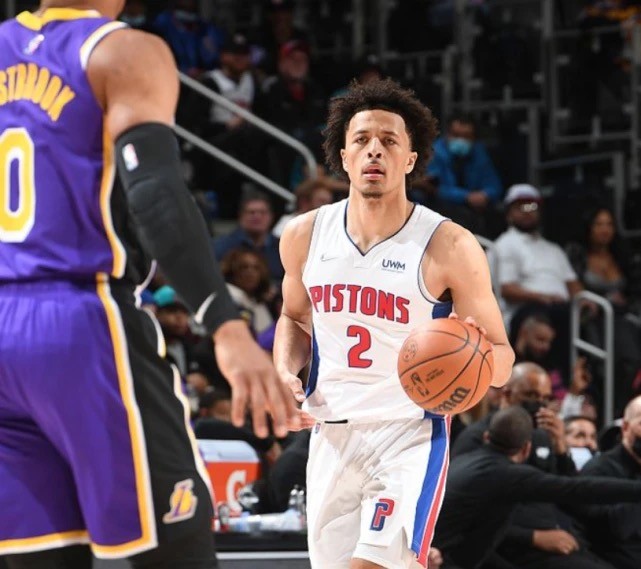 强调的细节 强调的细节