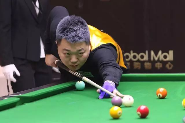 的新鲜血液 的新鲜血液